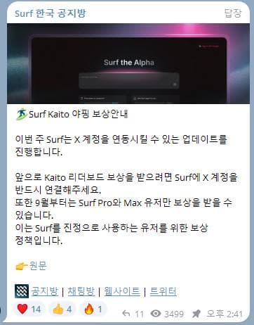 ‼️ Surf 구독하신 분들 중 야퍼님들